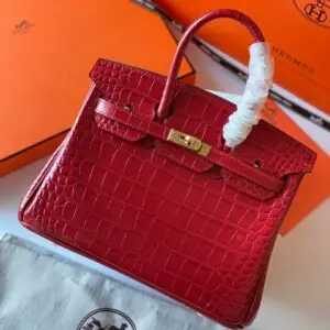 BIRKIN 25 ROUGE H ALLIGATOR MAT MATTE HARDWARE - Dubai Fashion LUX