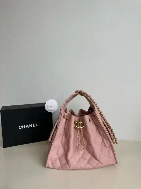 Chanel Medium 25 Hobo Bag
