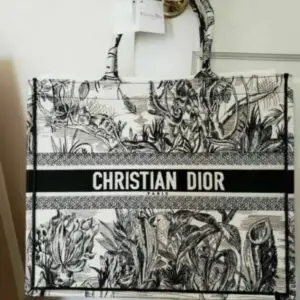 Dior Book Tote