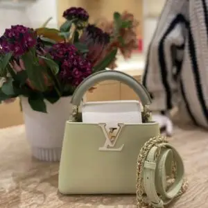 Louis Vuitton Capucines Mini Bag