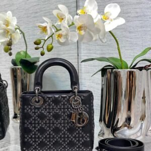 DIOR Satin LADY Bag