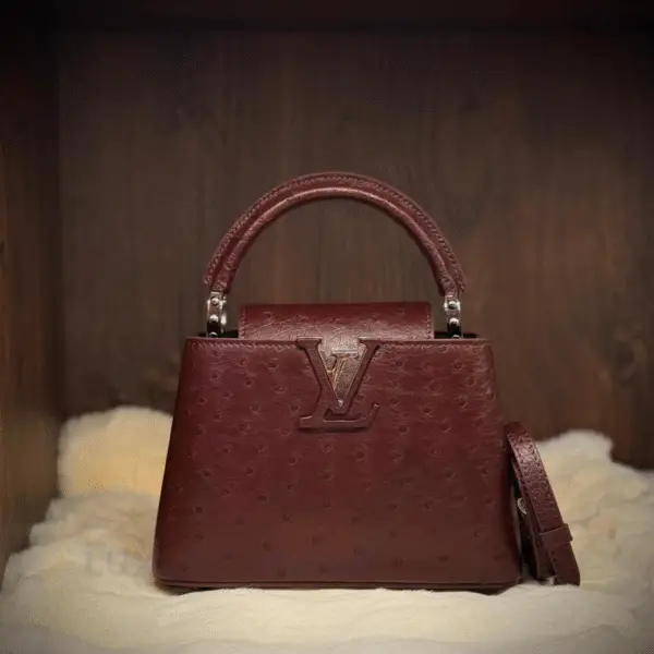 Louis Vuitton Capucines Handbag