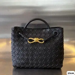 Bottega Veneta Andiamo Bag