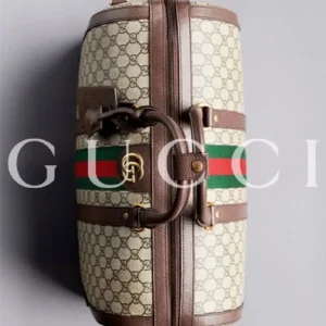 Gucci bag