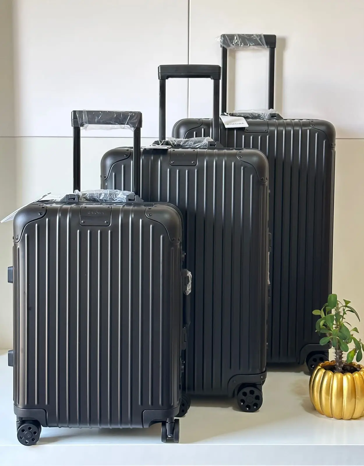 RIMOWA Essential Check-In L Suitcase – Lightweight & Durable Polycarbonate Travel Luggage
