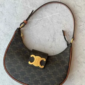 Celine Medium Ava Triomphe bag brown canvas