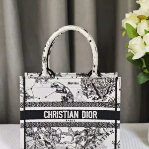 Christian Dior Book Tote In Medium
