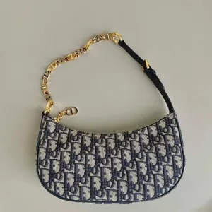 Dior Oblique CD Lounge Bag In Chain