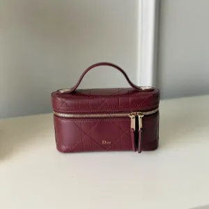 Dior Trianon Vanity Mini Bag
