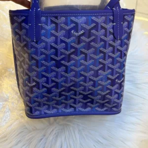 Goyard Anjou Bag