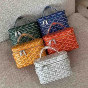 Buy Goyard Muse Vanity Bag Mini Goyardine Canvas | Bags DUbai