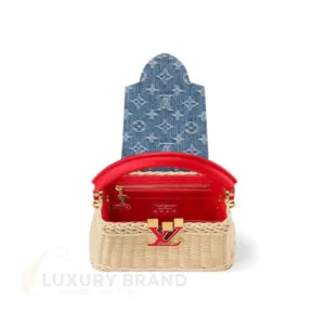 LOUIS VUITTON Capucines Mini Handbag | Luxury Leather Bag | Louis Vuitton